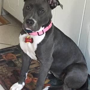 Meet your Posher, Tina